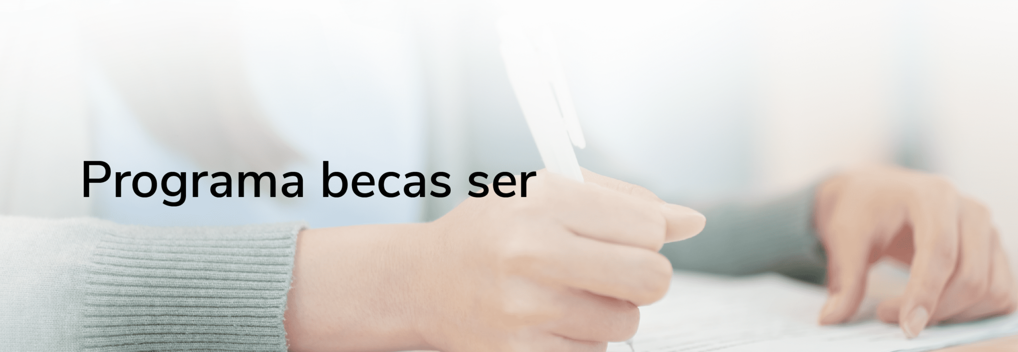 Programa De Becas Ser 9332